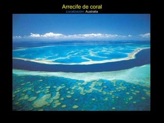 Arrecife de coral Localización:   Australia 