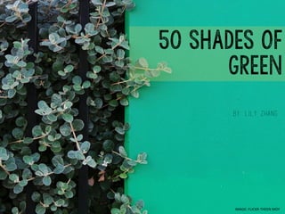 50 SHADES OF
GREEN
IMAGE:	
  FLICKR-­‐THEEN	
  MOY	
  
by: Lily Zhang
 