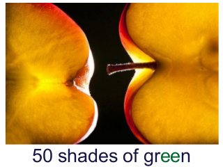 50 shades of green
 