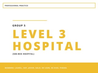 PROFESSIONAL PRACTICE
MEMBERS: LAUREL, ISIP, JAVIER, GALO, DE LEON, DE DIOS, PINEDA
LEVEL 3
HOSPITAL
GROUP 5
(500-BED HOSPITAL)
 