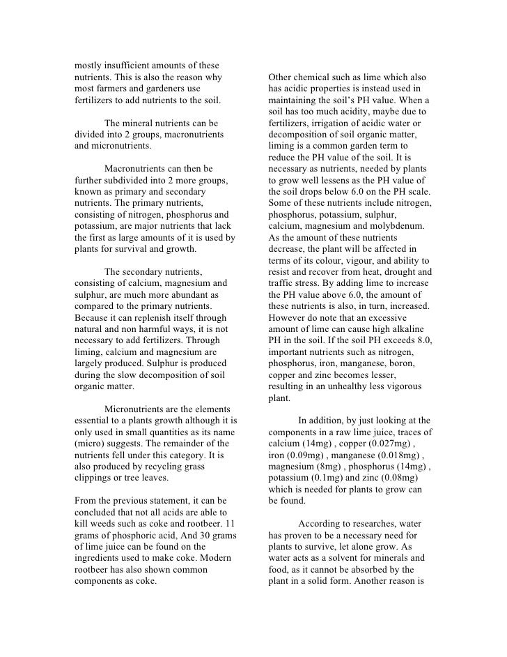 5000 word essay on accountability picture