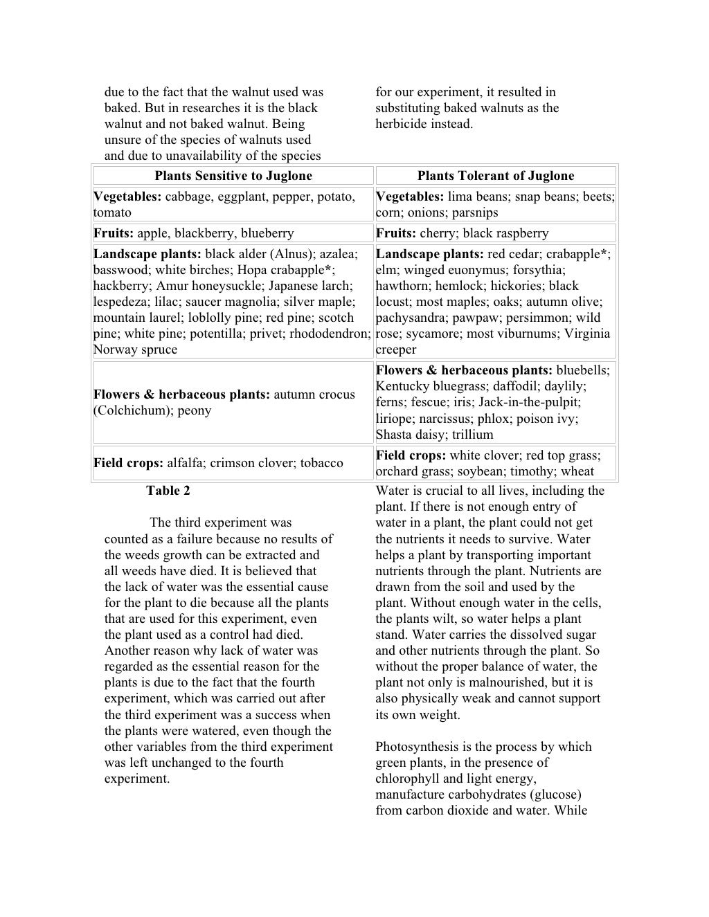 The importance of being on time essay image