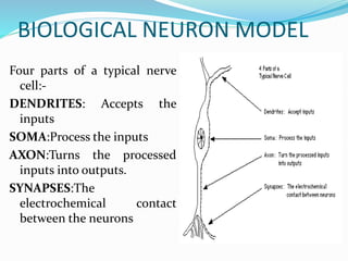 BIOLOGICAL NEURON MODEL
Four parts of a typical nerve
cell:-
DENDRITES: Accepts the
inputs
SOMA:Process the inputs
AXON:Turns the processed
inputs into outputs.
SYNAPSES:The
electrochemical contact
between the neurons
 