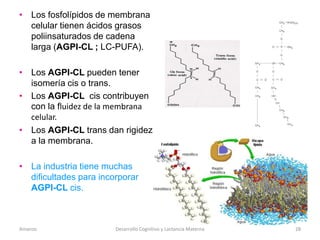 Desarrollo cognitivo y lactancia materna - CICAT-SALUD | PPTX