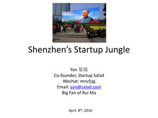 Shenzhen’s Startup Jungle
Yan 晏琰
Co-founder, Startup Salad
Wechat: mncfjzg
Email: yan@salad.cool
Big Fan of Rui Ma
April. 8th, 2016
 