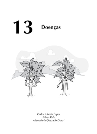 13 Doenças
Carlos Alberto Lopes
Ailton Reis
Alice Maria Quezado-Duval
 