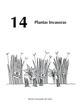 Werito Fernandes de Melo
14 Plantas Invasoras
 