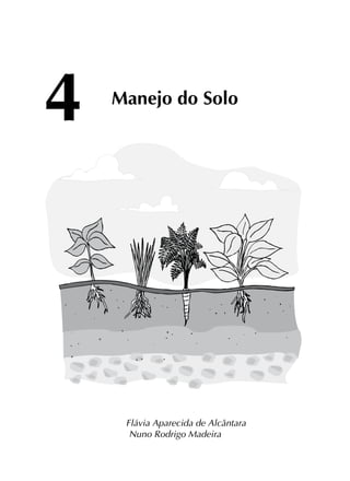 Flávia Aparecida de Alcântara
Nuno Rodrigo Madeira
4 Manejo do Solo
 