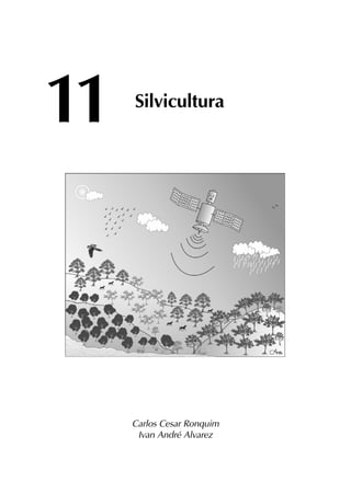 11	
Silvicultura
Carlos Cesar Ronquim
Ivan André Alvarez
 