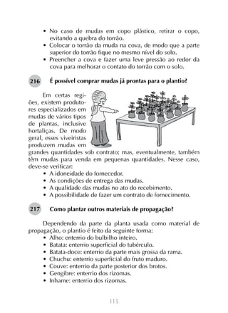 •  No caso de mudas em copo plástico, retirar o copo,
evitando a quebra do torrão.
•  Colocar o torrão da muda na cova, de modo que a parte
superior do torrão fique no mesmo nível do solo.
•  Preencher a cova e fazer uma leve pressão ao redor da
cova para melhorar o contato do torrão com o solo.
216

É possível comprar mudas já prontas para o plantio?

Em certas regiões, existem produtores especializados em
mudas de vários tipos
de plantas, inclusive
hortaliças. De modo
geral, esses viveiristas
produzem mudas em
grandes quantidades sob contrato; mas, eventualmente, também
têm mudas para venda em pequenas quantidades. Nesse caso,
deve-se verificar:
•  A idoneidade do fornecedor.
•  As condições de entrega das mudas.
•  A qualidade das mudas no ato do recebimento.
•  A possibilidade de fazer um contrato de fornecimento.
217

Como plantar outros materiais de propagação?

Dependendo da parte da planta usada como material de
propagação, o plantio é feito da seguinte forma:
•  Alho: enterrio do bulbilho inteiro.
•  Batata: enterrio superficial do tubérculo.
•  Batata-doce: enterrio da parte mais grossa da rama.
•  Chuchu: enterrio superficial do fruto maduro.
•  Couve: enterrio da parte posterior dos brotos.
•  Gengibre: enterrio dos rizomas.
•  Inhame: enterrio dos rizomas.
115

 