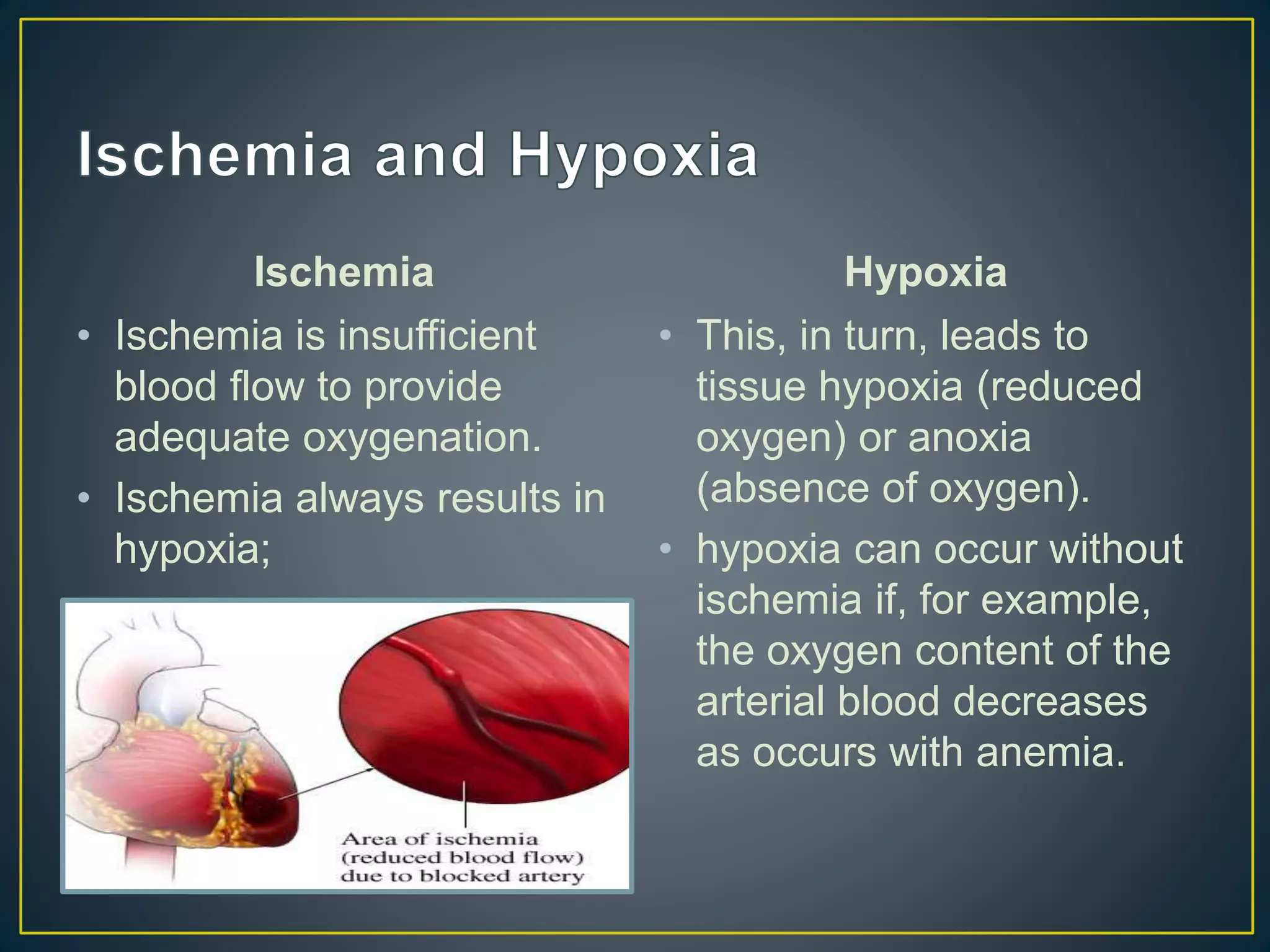 Ischemia
• Ischemia is insufficient
blood flow to provide
adequate oxygenation.
• Ischemia always results in
hypoxia;
Hypoxia
• This, in turn, leads to
tissue hypoxia (reduced
oxygen) or anoxia
(absence of oxygen).
• hypoxia can occur without
ischemia if, for example,
the oxygen content of the
arterial blood decreases
as occurs with anemia.
 