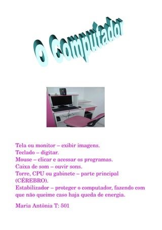Tela ou monitor – exibir imagens.
Teclado – digitar.
Mouse – clicar e acessar os programas. 
Caixa de som – ouvir sons.
Torre, CPU ou gabinete – parte principal 
(CÉREBRO).
Estabilizador – proteger o computador, fazendo com 
que não queime caso haja queda de energia. 
Maria Antônia T: 501
 