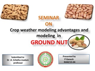 crop modelling basics in groundnut | PPTX | Agriculture | Industries