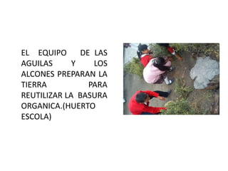 EL EQUIPO      DE LAS
AGUILAS      Y    LOS
ALCONES PREPARAN LA
TIERRA           PARA
REUTILIZAR LA BASURA
ORGANICA.(HUERTO
ESCOLA)
 