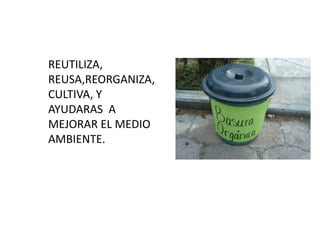 REUTILIZA,
REUSA,REORGANIZA,
CULTIVA, Y
AYUDARAS A
MEJORAR EL MEDIO
AMBIENTE.
 