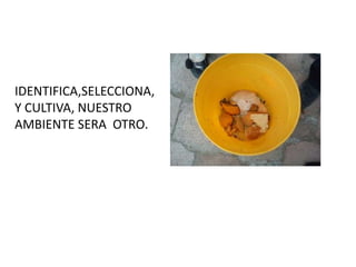 IDENTIFICA,SELECCIONA,
Y CULTIVA, NUESTRO
AMBIENTE SERA OTRO.
 