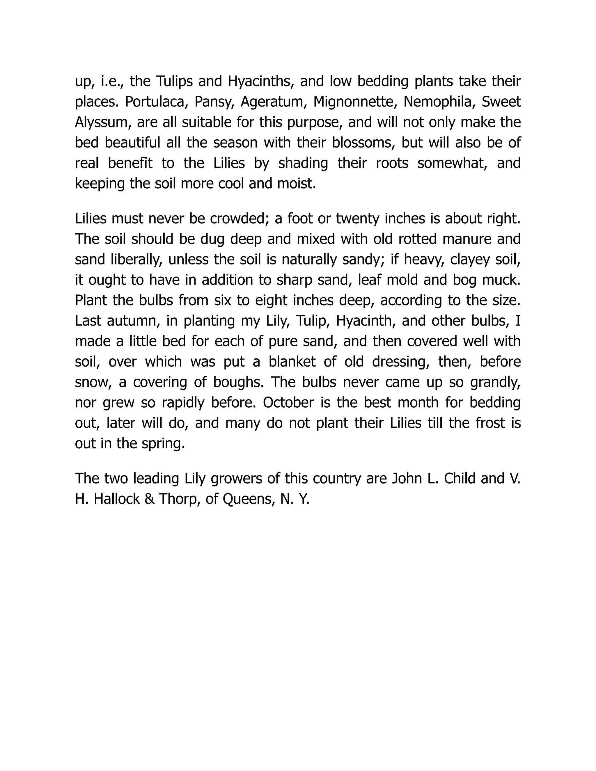 up, i.e., the Tulips and Hyacinths, and low bedding plants take their
places. Portulaca, Pansy, Ageratum, Mignonnette, Nemophila, Sweet
Alyssum, are all suitable for this purpose, and will not only make the
bed beautiful all the season with their blossoms, but will also be of
real benefit to the Lilies by shading their roots somewhat, and
keeping the soil more cool and moist.
Lilies must never be crowded; a foot or twenty inches is about right.
The soil should be dug deep and mixed with old rotted manure and
sand liberally, unless the soil is naturally sandy; if heavy, clayey soil,
it ought to have in addition to sharp sand, leaf mold and bog muck.
Plant the bulbs from six to eight inches deep, according to the size.
Last autumn, in planting my Lily, Tulip, Hyacinth, and other bulbs, I
made a little bed for each of pure sand, and then covered well with
soil, over which was put a blanket of old dressing, then, before
snow, a covering of boughs. The bulbs never came up so grandly,
nor grew so rapidly before. October is the best month for bedding
out, later will do, and many do not plant their Lilies till the frost is
out in the spring.
The two leading Lily growers of this country are John L. Child and V.
H. Hallock & Thorp, of Queens, N. Y.
 