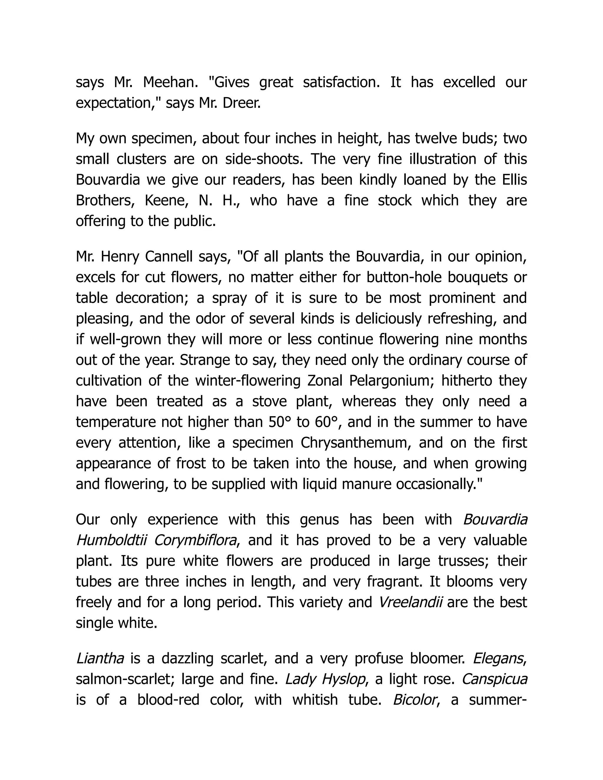 says Mr. Meehan. "Gives great satisfaction. It has excelled our
expectation," says Mr. Dreer.
My own specimen, about four inches in height, has twelve buds; two
small clusters are on side-shoots. The very fine illustration of this
Bouvardia we give our readers, has been kindly loaned by the Ellis
Brothers, Keene, N. H., who have a fine stock which they are
offering to the public.
Mr. Henry Cannell says, "Of all plants the Bouvardia, in our opinion,
excels for cut flowers, no matter either for button-hole bouquets or
table decoration; a spray of it is sure to be most prominent and
pleasing, and the odor of several kinds is deliciously refreshing, and
if well-grown they will more or less continue flowering nine months
out of the year. Strange to say, they need only the ordinary course of
cultivation of the winter-flowering Zonal Pelargonium; hitherto they
have been treated as a stove plant, whereas they only need a
temperature not higher than 50° to 60°, and in the summer to have
every attention, like a specimen Chrysanthemum, and on the first
appearance of frost to be taken into the house, and when growing
and flowering, to be supplied with liquid manure occasionally."
Our only experience with this genus has been with Bouvardia
Humboldtii Corymbiflora, and it has proved to be a very valuable
plant. Its pure white flowers are produced in large trusses; their
tubes are three inches in length, and very fragrant. It blooms very
freely and for a long period. This variety and Vreelandii are the best
single white.
Liantha is a dazzling scarlet, and a very profuse bloomer. Elegans,
salmon-scarlet; large and fine. Lady Hyslop, a light rose. Canspicua
is of a blood-red color, with whitish tube. Bicolor, a summer-
 