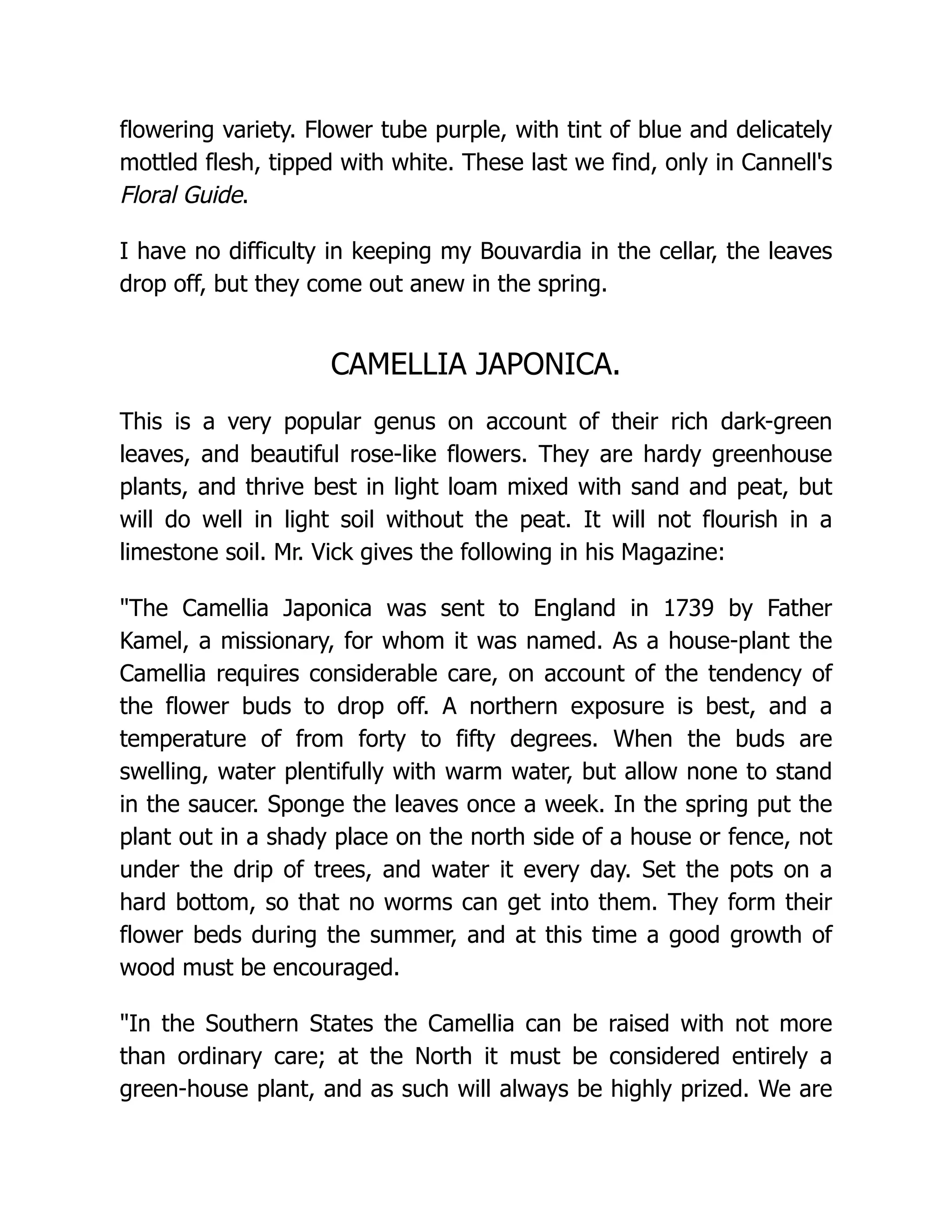 flowering variety. Flower tube purple, with tint of blue and delicately
mottled flesh, tipped with white. These last we find, only in Cannell's
Floral Guide.
I have no difficulty in keeping my Bouvardia in the cellar, the leaves
drop off, but they come out anew in the spring.
CAMELLIA JAPONICA.
This is a very popular genus on account of their rich dark-green
leaves, and beautiful rose-like flowers. They are hardy greenhouse
plants, and thrive best in light loam mixed with sand and peat, but
will do well in light soil without the peat. It will not flourish in a
limestone soil. Mr. Vick gives the following in his Magazine:
"The Camellia Japonica was sent to England in 1739 by Father
Kamel, a missionary, for whom it was named. As a house-plant the
Camellia requires considerable care, on account of the tendency of
the flower buds to drop off. A northern exposure is best, and a
temperature of from forty to fifty degrees. When the buds are
swelling, water plentifully with warm water, but allow none to stand
in the saucer. Sponge the leaves once a week. In the spring put the
plant out in a shady place on the north side of a house or fence, not
under the drip of trees, and water it every day. Set the pots on a
hard bottom, so that no worms can get into them. They form their
flower beds during the summer, and at this time a good growth of
wood must be encouraged.
"In the Southern States the Camellia can be raised with not more
than ordinary care; at the North it must be considered entirely a
green-house plant, and as such will always be highly prized. We are
 