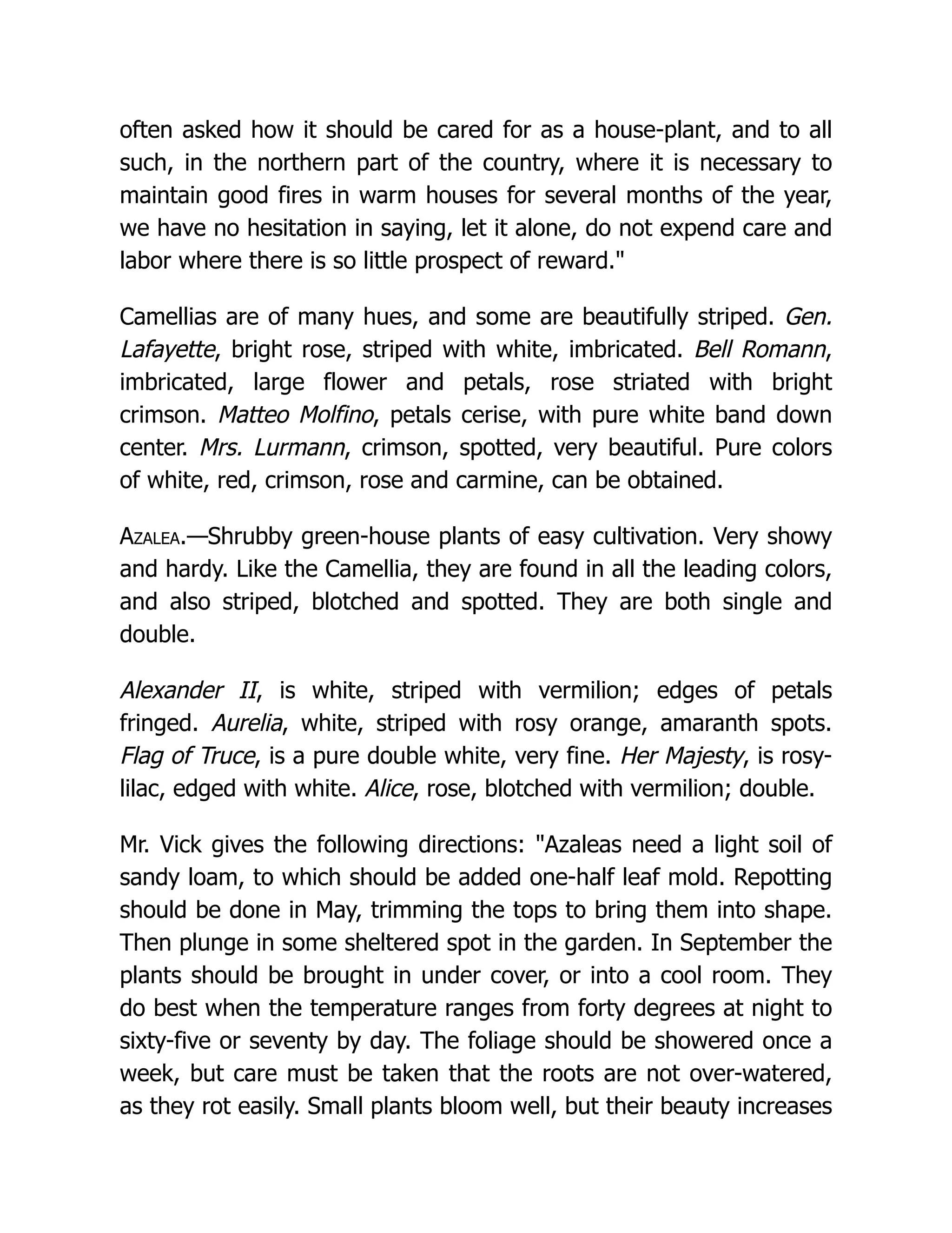 often asked how it should be cared for as a house-plant, and to all
such, in the northern part of the country, where it is necessary to
maintain good fires in warm houses for several months of the year,
we have no hesitation in saying, let it alone, do not expend care and
labor where there is so little prospect of reward."
Camellias are of many hues, and some are beautifully striped. Gen.
Lafayette, bright rose, striped with white, imbricated. Bell Romann,
imbricated, large flower and petals, rose striated with bright
crimson. Matteo Molfino, petals cerise, with pure white band down
center. Mrs. Lurmann, crimson, spotted, very beautiful. Pure colors
of white, red, crimson, rose and carmine, can be obtained.
Azalea.—Shrubby green-house plants of easy cultivation. Very showy
and hardy. Like the Camellia, they are found in all the leading colors,
and also striped, blotched and spotted. They are both single and
double.
Alexander II, is white, striped with vermilion; edges of petals
fringed. Aurelia, white, striped with rosy orange, amaranth spots.
Flag of Truce, is a pure double white, very fine. Her Majesty, is rosy-
lilac, edged with white. Alice, rose, blotched with vermilion; double.
Mr. Vick gives the following directions: "Azaleas need a light soil of
sandy loam, to which should be added one-half leaf mold. Repotting
should be done in May, trimming the tops to bring them into shape.
Then plunge in some sheltered spot in the garden. In September the
plants should be brought in under cover, or into a cool room. They
do best when the temperature ranges from forty degrees at night to
sixty-five or seventy by day. The foliage should be showered once a
week, but care must be taken that the roots are not over-watered,
as they rot easily. Small plants bloom well, but their beauty increases
 