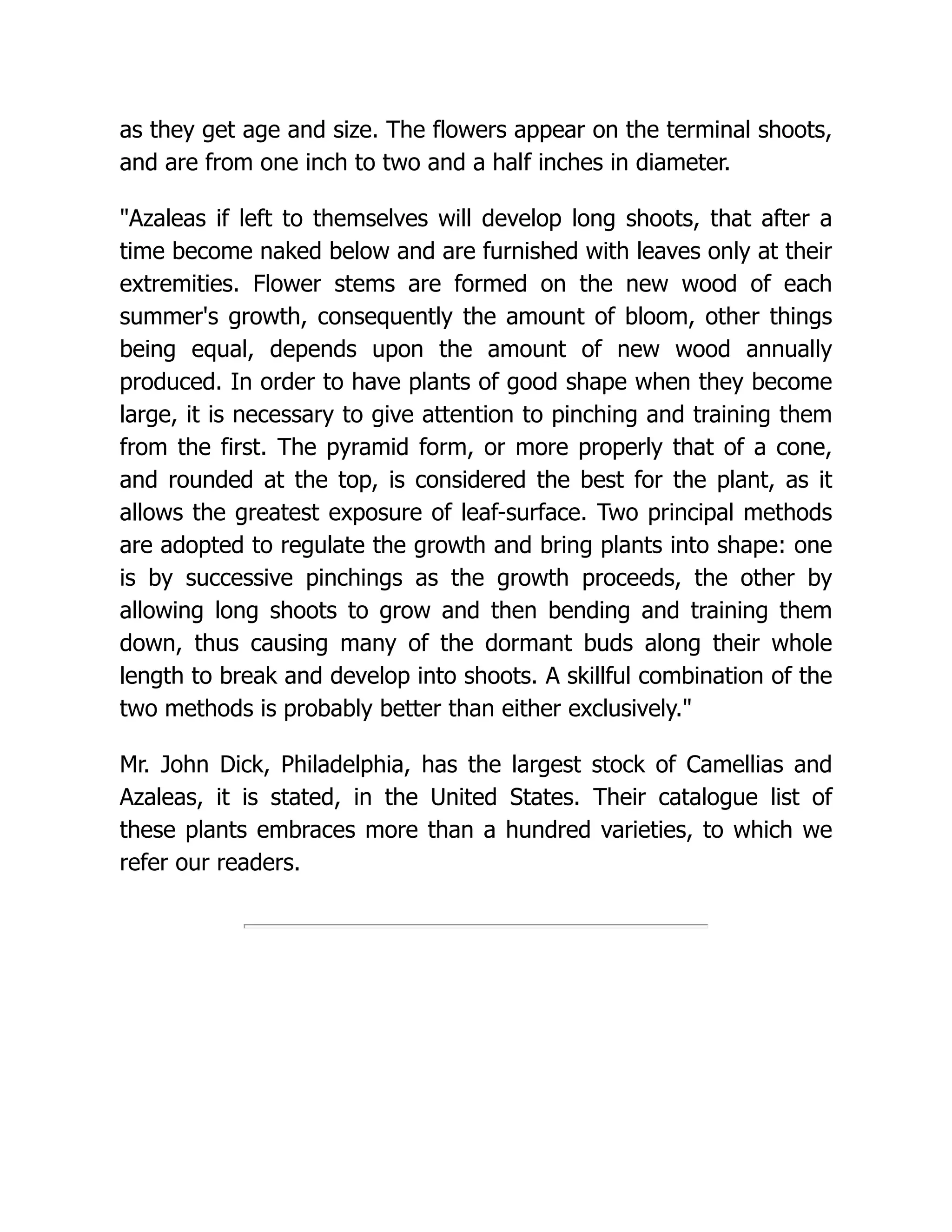 as they get age and size. The flowers appear on the terminal shoots,
and are from one inch to two and a half inches in diameter.
"Azaleas if left to themselves will develop long shoots, that after a
time become naked below and are furnished with leaves only at their
extremities. Flower stems are formed on the new wood of each
summer's growth, consequently the amount of bloom, other things
being equal, depends upon the amount of new wood annually
produced. In order to have plants of good shape when they become
large, it is necessary to give attention to pinching and training them
from the first. The pyramid form, or more properly that of a cone,
and rounded at the top, is considered the best for the plant, as it
allows the greatest exposure of leaf-surface. Two principal methods
are adopted to regulate the growth and bring plants into shape: one
is by successive pinchings as the growth proceeds, the other by
allowing long shoots to grow and then bending and training them
down, thus causing many of the dormant buds along their whole
length to break and develop into shoots. A skillful combination of the
two methods is probably better than either exclusively."
Mr. John Dick, Philadelphia, has the largest stock of Camellias and
Azaleas, it is stated, in the United States. Their catalogue list of
these plants embraces more than a hundred varieties, to which we
refer our readers.
 