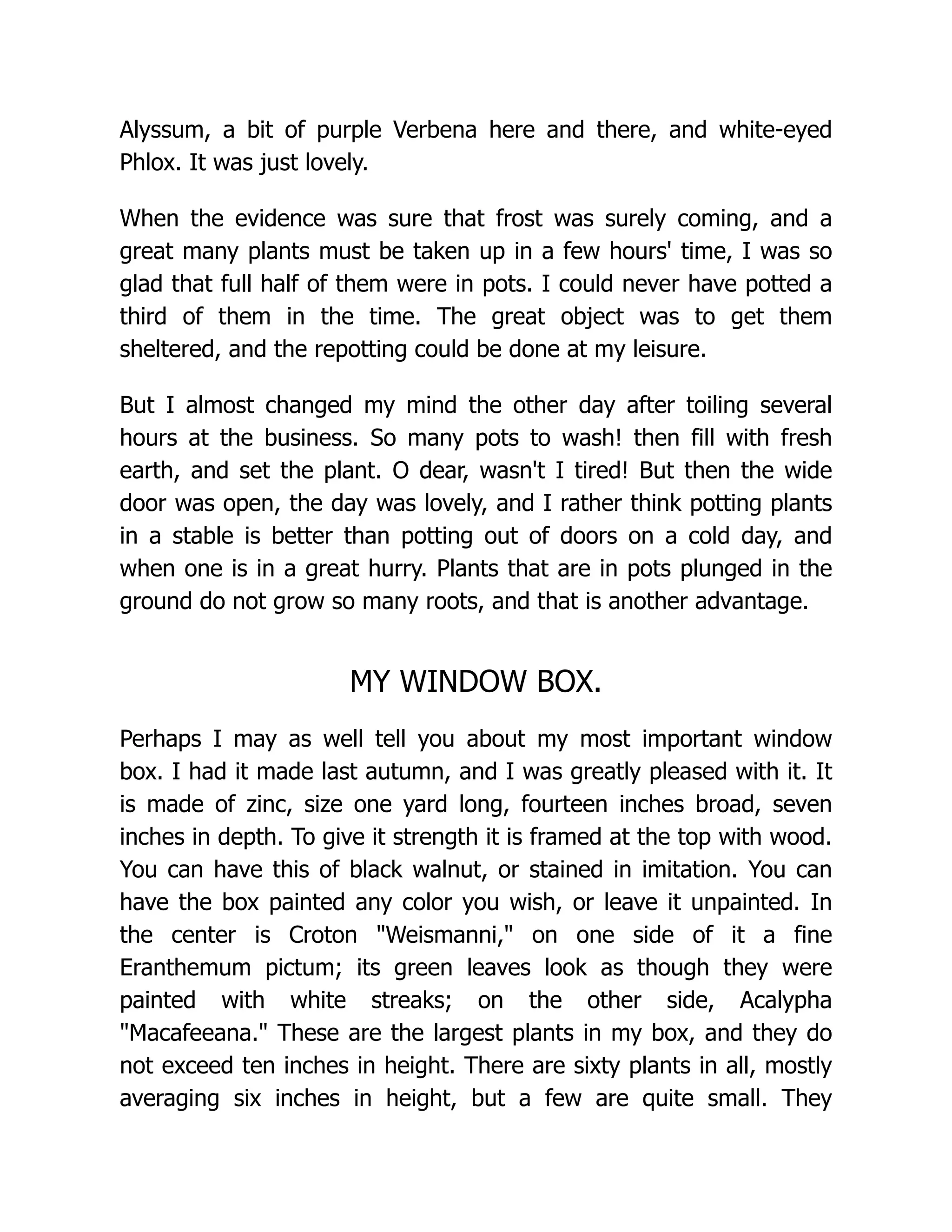 Alyssum, a bit of purple Verbena here and there, and white-eyed
Phlox. It was just lovely.
When the evidence was sure that frost was surely coming, and a
great many plants must be taken up in a few hours' time, I was so
glad that full half of them were in pots. I could never have potted a
third of them in the time. The great object was to get them
sheltered, and the repotting could be done at my leisure.
But I almost changed my mind the other day after toiling several
hours at the business. So many pots to wash! then fill with fresh
earth, and set the plant. O dear, wasn't I tired! But then the wide
door was open, the day was lovely, and I rather think potting plants
in a stable is better than potting out of doors on a cold day, and
when one is in a great hurry. Plants that are in pots plunged in the
ground do not grow so many roots, and that is another advantage.
MY WINDOW BOX.
Perhaps I may as well tell you about my most important window
box. I had it made last autumn, and I was greatly pleased with it. It
is made of zinc, size one yard long, fourteen inches broad, seven
inches in depth. To give it strength it is framed at the top with wood.
You can have this of black walnut, or stained in imitation. You can
have the box painted any color you wish, or leave it unpainted. In
the center is Croton "Weismanni," on one side of it a fine
Eranthemum pictum; its green leaves look as though they were
painted with white streaks; on the other side, Acalypha
"Macafeeana." These are the largest plants in my box, and they do
not exceed ten inches in height. There are sixty plants in all, mostly
averaging six inches in height, but a few are quite small. They
 