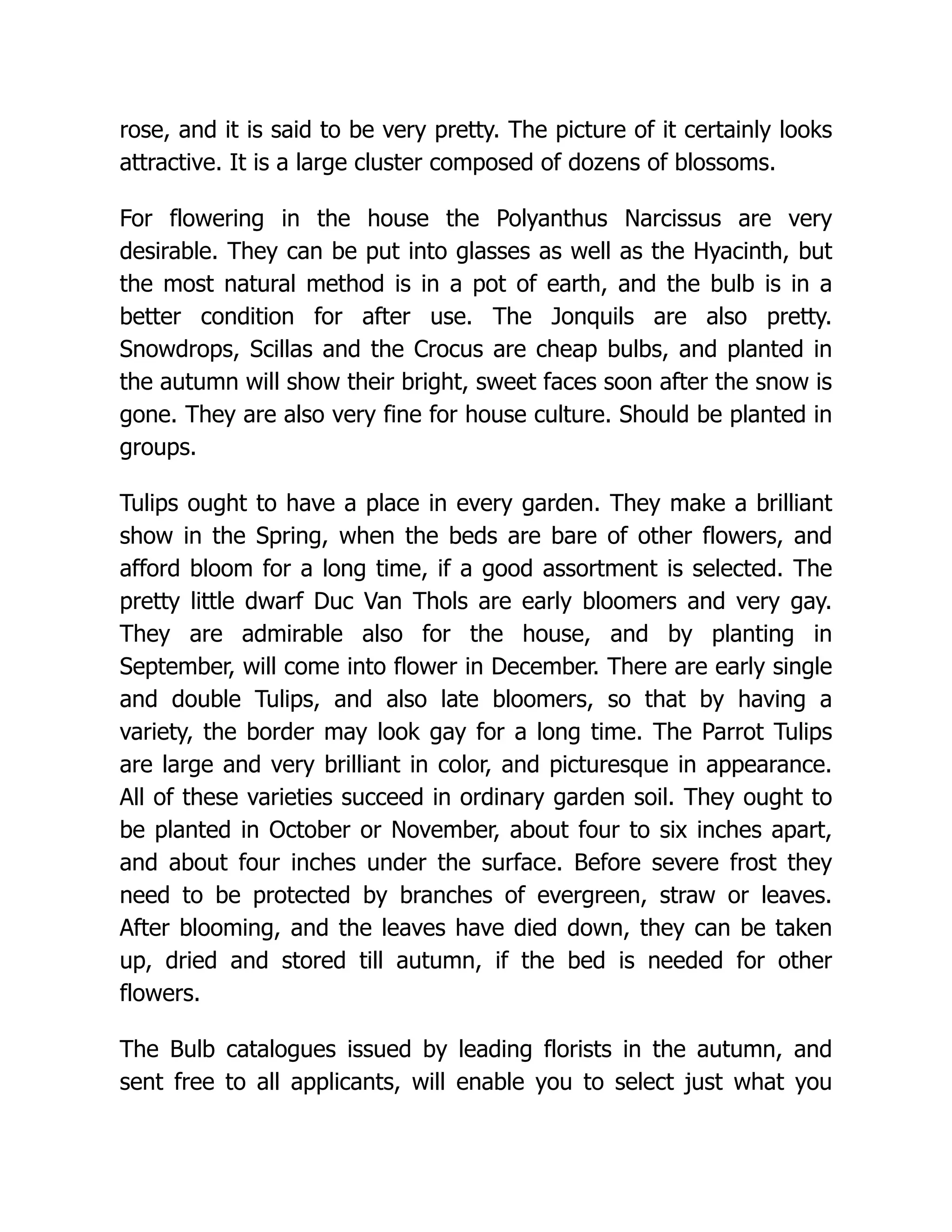 rose, and it is said to be very pretty. The picture of it certainly looks
attractive. It is a large cluster composed of dozens of blossoms.
For flowering in the house the Polyanthus Narcissus are very
desirable. They can be put into glasses as well as the Hyacinth, but
the most natural method is in a pot of earth, and the bulb is in a
better condition for after use. The Jonquils are also pretty.
Snowdrops, Scillas and the Crocus are cheap bulbs, and planted in
the autumn will show their bright, sweet faces soon after the snow is
gone. They are also very fine for house culture. Should be planted in
groups.
Tulips ought to have a place in every garden. They make a brilliant
show in the Spring, when the beds are bare of other flowers, and
afford bloom for a long time, if a good assortment is selected. The
pretty little dwarf Duc Van Thols are early bloomers and very gay.
They are admirable also for the house, and by planting in
September, will come into flower in December. There are early single
and double Tulips, and also late bloomers, so that by having a
variety, the border may look gay for a long time. The Parrot Tulips
are large and very brilliant in color, and picturesque in appearance.
All of these varieties succeed in ordinary garden soil. They ought to
be planted in October or November, about four to six inches apart,
and about four inches under the surface. Before severe frost they
need to be protected by branches of evergreen, straw or leaves.
After blooming, and the leaves have died down, they can be taken
up, dried and stored till autumn, if the bed is needed for other
flowers.
The Bulb catalogues issued by leading florists in the autumn, and
sent free to all applicants, will enable you to select just what you
 