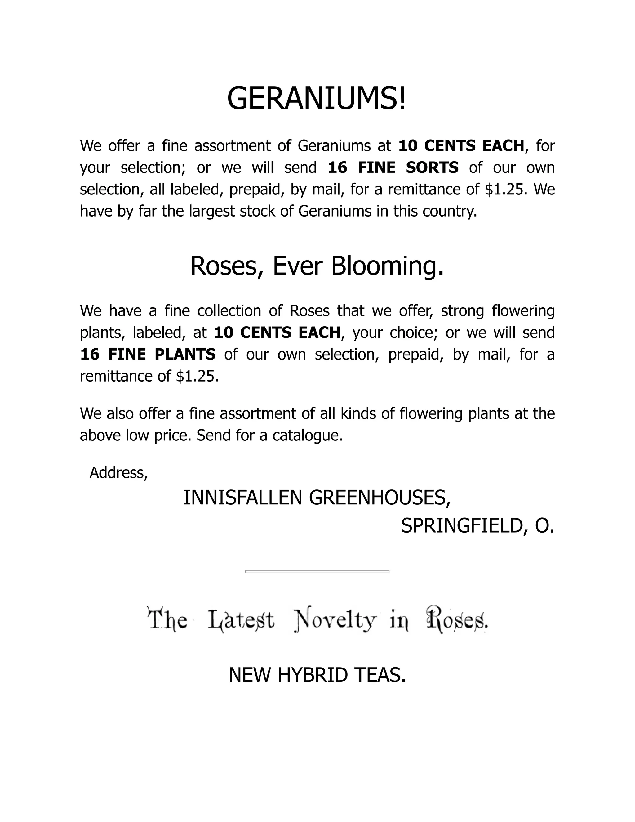 GERANIUMS!
We offer a fine assortment of Geraniums at 10 CENTS EACH, for
your selection; or we will send 16 FINE SORTS of our own
selection, all labeled, prepaid, by mail, for a remittance of $1.25. We
have by far the largest stock of Geraniums in this country.
Roses, Ever Blooming.
We have a fine collection of Roses that we offer, strong flowering
plants, labeled, at 10 CENTS EACH, your choice; or we will send
16 FINE PLANTS of our own selection, prepaid, by mail, for a
remittance of $1.25.
We also offer a fine assortment of all kinds of flowering plants at the
above low price. Send for a catalogue.
Address,
INNISFALLEN GREENHOUSES,
SPRINGFIELD, O.
NEW HYBRID TEAS.
 