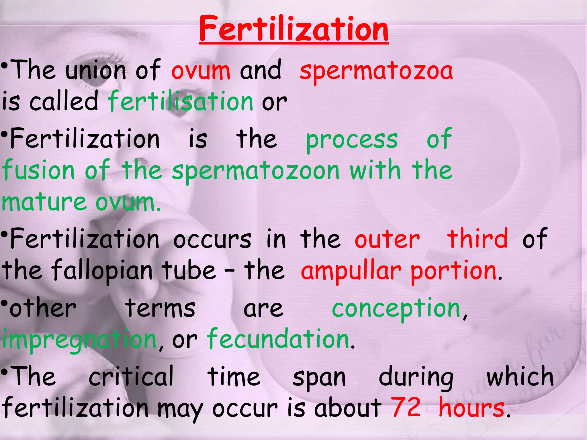 Fertilization
•The union of ovum and spermatozoa
is called fertilisation or
•Fertilization is the process of
fusion of the spermatozoon with the
mature ovum.
•Fertilization occurs in the outer third of
the fallopian tube – the ampullar portion.
•other terms are conception,
impregnation, or fecundation.
•The critical time span during which
fertilization may occur is about 72 hours.
 