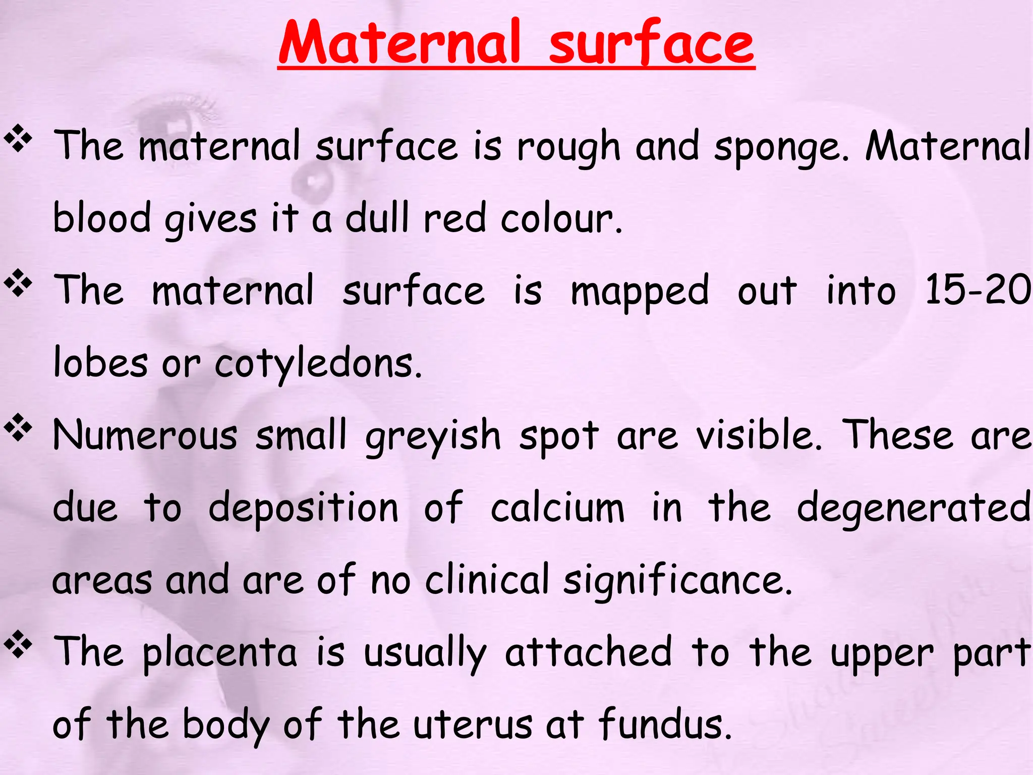 Maternal surface
 The maternal surface is rough and sponge. Maternal
blood gives it a dull red colour.
 The maternal surface is mapped out into 15-20
lobes or cotyledons.
 Numerous small greyish spot are visible. These are
due to deposition of calcium in the degenerated
areas and are of no clinical significance.
 The placenta is usually attached to the upper part
of the body of the uterus at fundus.
 