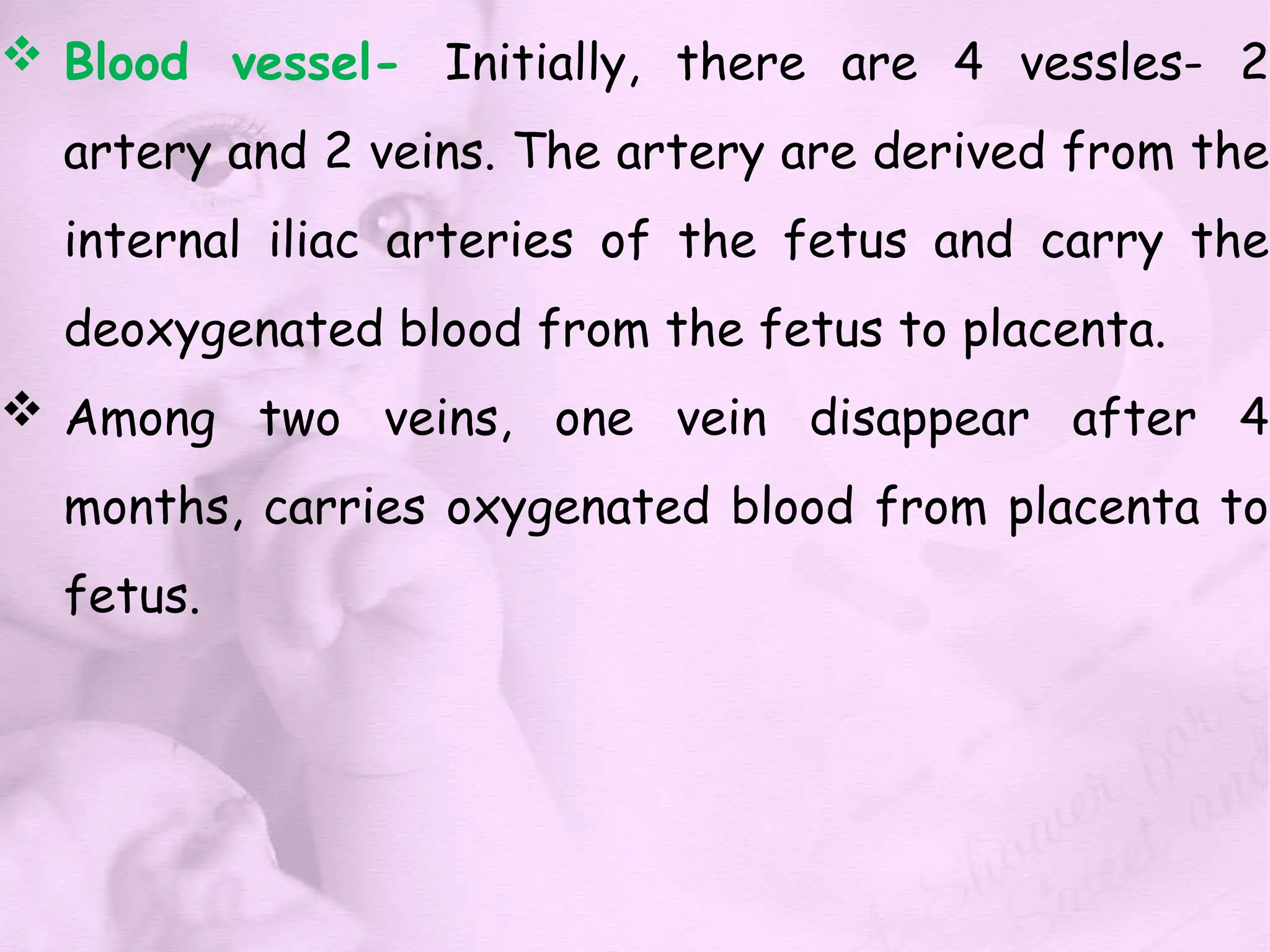  Blood vessel- Initially, there are 4 vessles- 2
artery and 2 veins. The artery are derived from the
internal iliac arteries of the fetus and carry the
deoxygenated blood from the fetus to placenta.
 Among two veins, one vein disappear after 4
months, carries oxygenated blood from placenta to
fetus.
 