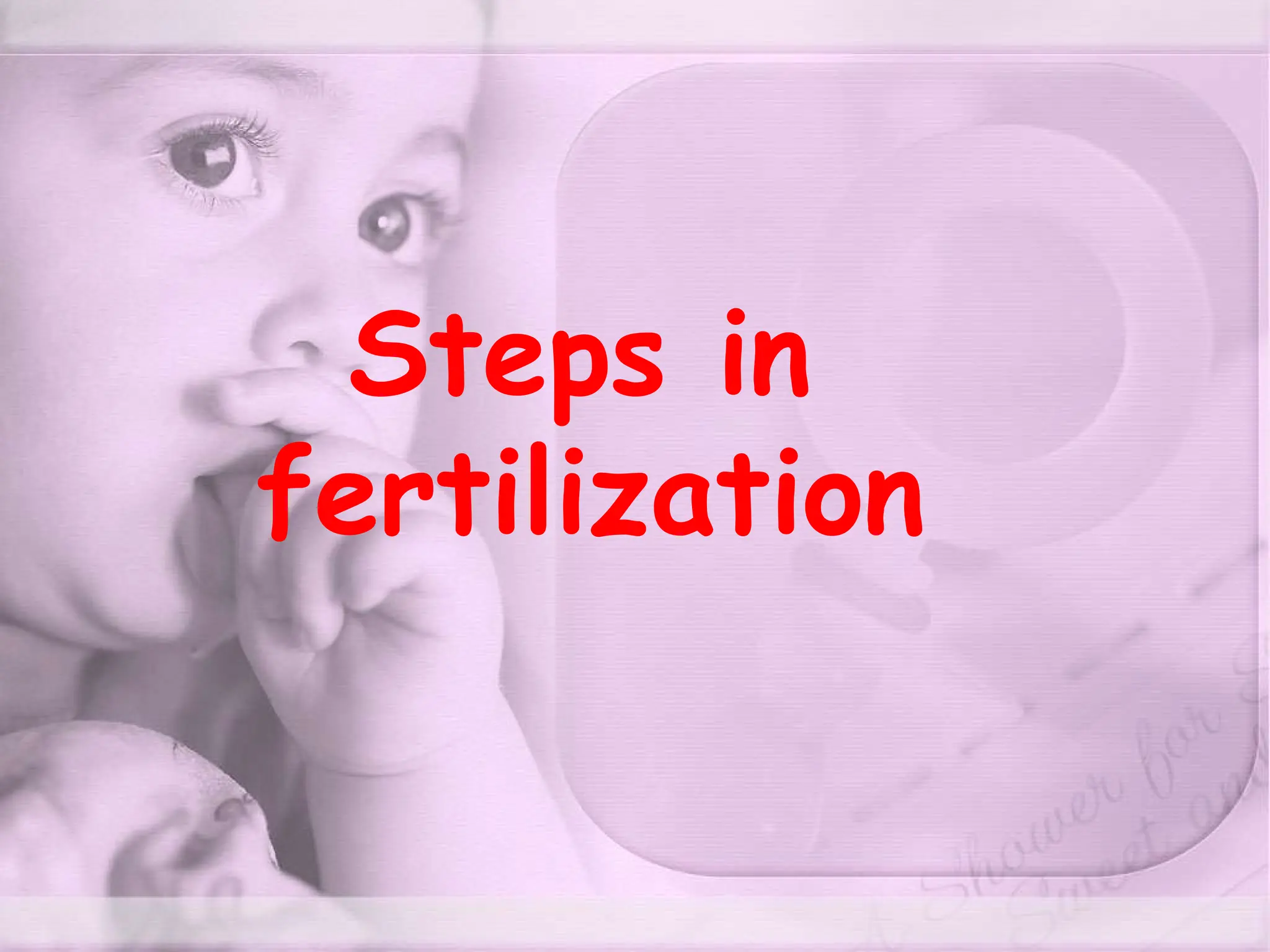 Steps in
fertilization
 
