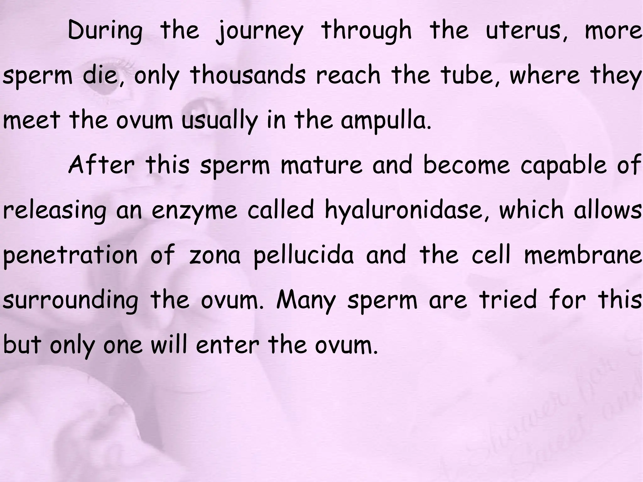 During the journey through the uterus, more
sperm die, only thousands reach the tube, where they
meet the ovum usually in the ampulla.
After this sperm mature and become capable of
releasing an enzyme called hyaluronidase, which allows
penetration of zona pellucida and the cell membrane
surrounding the ovum. Many sperm are tried for this
but only one will enter the ovum.
 