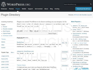 photo by huasonic
WHAT IS A
PLUGIN &
WHEN DO I