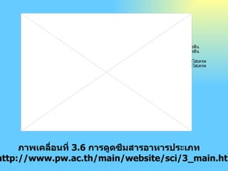 ภาพเคลื่อนที่  3.6  การดูดซึมสารอาหารประเภท ที่มา  http://www.pw.ac.th/main/website/sci/3_main.html    ภาพเคลื่อนที่  3.5  การดูดซึมสารอาหารประเภทโปรตีน      ภาพเคลื่อนที่  3.6  การดูดซึมสารอาหารประเภทคาร์โบไฮเดรต ภาพเคลื่อนที่  3.5  การดูดซึมสารอาหารประเภทโปรตีน      ภาพเคลื่อนที่  3.6  การดูดซึมสารอาหารประเภทคาร์โบไฮเดรต 