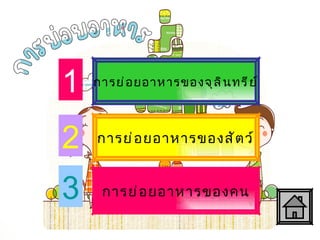 การย่อยอาหารของจุลินทรีย์ การย่อยอาหารของสัตว์ การย่อยอาหารของคน 1 2 3 