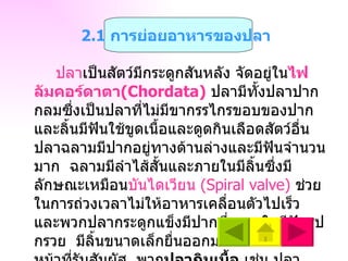 ปลา เป็นสัตว์มีกระดูกสันหลัง จัดอยู่ใน ไฟลัมคอร์ดาตา (Chordata)   ปลามีทั้งปลาปากกลมซึ่งเป็นปลาที่ไม่มีขากรรไกรขอบของปากและลิ้นมีฟันใช้ขูดเนื้อและดูดกินเลือดสัตว์อื่น  ปลาฉลามมีปากอยู่ทางด้านล่างและมีฟันจำนวนมาก  ฉลามมีลำไส้สั้นและภายในมีลิ้นซึ่งมีลักษณะเหมือน บันไดเวียน  ( Spiral valve )   ช่วยในการถ่วงเวลาไม่ให้อาหารเคลื่อนตัวไปเร็ว  และพวกปลากระดูกแข็งมีปากซึ่งภายในมีฟันรูปกรวย  มีลิ้นขนาดเล็กยื่นออกมาจากปากทำหน้าที่รับสัมผัส  พวก ปลากินเนื้อ  เช่น ปลาช่อน ปลาน้ำดอกไม้ ปลาพวกนี้จะมี ลำไส้สั้น  ส่วน ปลากินพืช  เช่น  ปลาทู ปลาสลิด จะมี ลำไส้ยาว   2.1  การย่อยอาหารของปลา   