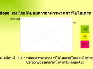 1.Carbohydase  เอนไซม์ที่ย่อยสารอาหารพวกคาร์โบไฮเดรต ดังแผนภาพ   ภาพเคลื่อนที่  3 . 1  การย่อยสารอาหารคาร์โบไฮเดรตโดยเอนไซม์พวก  Carbohydase จนได้น้ำตาลโมเลกุลเดี่ยว Carbohydase  เอนไซม์ที่ย่อยสารอาหารพวกคาร์โบไฮเดรต ดังแผนภาพ   ภาพเคลื่อนที่  3 . 1  การย่อยสารอาหารคาร์โบไฮเดรตโดยเอนไซม์พวก  Carbohydase จนได้น้ำตาลโมเลกุลเดี่ยว 