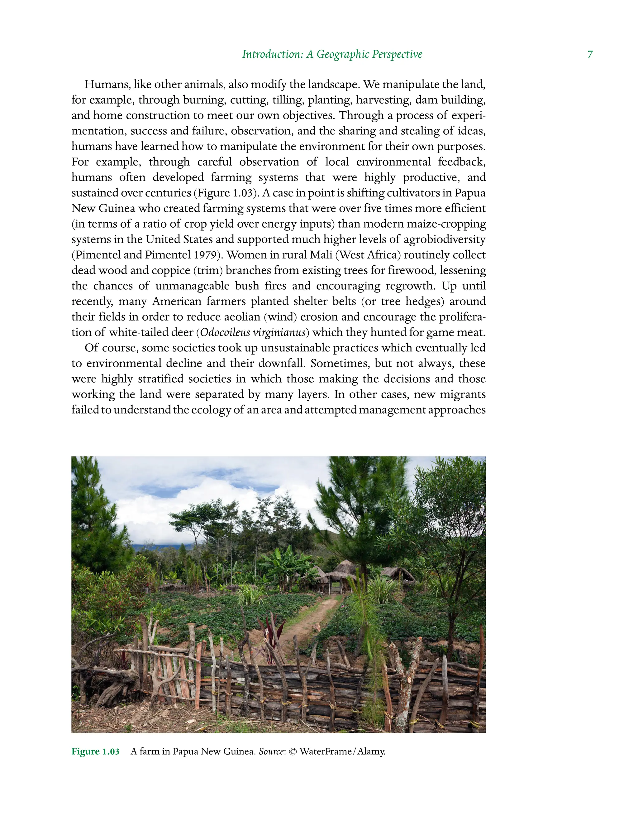 Introduction: A Geographic Perspective  7
Humans, like other animals, also modify the landscape. We manipulate the land,
for example, through burning, cutting, tilling, planting, harvesting, dam building,
and home construction to meet our own objectives. Through a process of experi-
mentation, success and failure, observation, and the sharing and stealing of ideas,
humans have learned how to manipulate the environment for their own purposes.
For example, through careful observation of local environmental feedback,
humans often developed farming systems that were highly productive, and
sustained over centuries (Figure 1.03). A case in point is shifting cultivators in Papua
New Guinea who created farming systems that were over five times more efficient
(in terms of a ratio of crop yield over energy inputs) than modern maize-cropping
systems in the United States and supported much higher levels of agrobiodiversity
(Pimentel and Pimentel 1979). Women in rural Mali (West Africa) routinely collect
dead wood and coppice (trim) branches from existing trees for firewood, lessening
the chances of unmanageable bush fires and encouraging regrowth. Up until
recently, many American farmers planted shelter belts (or tree hedges) around
their fields in order to reduce aeolian (wind) erosion and encourage the prolifera-
tion of white-tailed deer (Odocoileus virginianus) which they hunted for game meat.
Of course, some societies took up unsustainable practices which eventually led
to environmental decline and their downfall. Sometimes, but not always, these
were highly stratified societies in which those making the decisions and those
working the land were separated by many layers. In other cases, new migrants
failedtounderstandtheecologyof anareaandattemptedmanagementapproaches
Figure 1.03â•… A farm in Papua New Guinea. Source: © WaterFrame/Alamy.
 