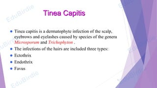 50247-cutaneous-mycoses of musculoskeletal | PDF