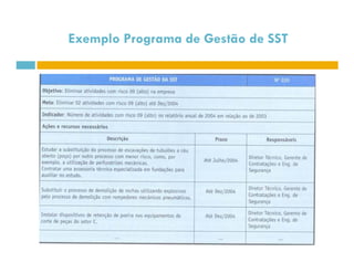 Exemplo Programa de Gestão de SST 
 
