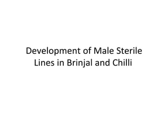 Development of Male Sterile
Lines in Brinjal and Chilli
 