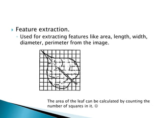  Feature extraction.
◦ Used for extracting features like area, length, width,
diameter, perimeter from the image.
The area of the leaf can be calculated by counting the
number of squares in it. 
 