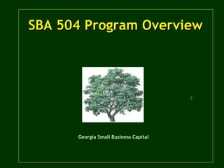 SBA 504 Program Overview  Georgia Small Business Capital 