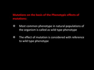 Mutations on the basis of the Phenotypic effects of
mutations:
 Most common phenotype in natural populations of
the organism is called as wild type phenotype
 The effect of mutation is considered with reference
to wild type phenotype
 