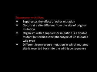 Suppressor mutation:
 Suppresses the effect of other mutation
 Occurs at a site different from the site of original
mutation
 Organism with a suppressor mutation is a double
mutant but exhibits the phenotype of un mutated
wild type
 Different from reverse mutation in which mutated
site is reverted back into the wild type sequence
 