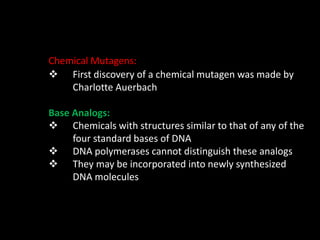 Chemical Mutagens:
 First discovery of a chemical mutagen was made by
Charlotte Auerbach
Base Analogs:
 Chemicals with structures similar to that of any of the
four standard bases of DNA
 DNA polymerases cannot distinguish these analogs
 They may be incorporated into newly synthesized
DNA molecules
 