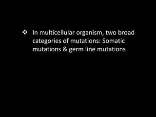  In multicellular organism, two broad
categories of mutations: Somatic
mutations & germ line mutations
 