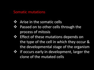 Somatic mutations
 Arise in the somatic cells
 Passed on to other cells through the
process of mitosis
 Effect of these mutations depends on
the type of the cell in which they occur &
the developmental stage of the organism
 If occurs early in development, larger the
clone of the mutated cells
 