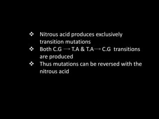 Nitrous acid produces exclusively
transition mutations
 Both C.G T.A & T.A C.G transitions
are produced
 Thus mutations can be reversed with the
nitrous acid
 